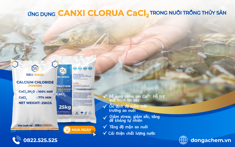 Ứng dụng Canxi Clorua CaCl2 trong nuôi trồng thủy sản